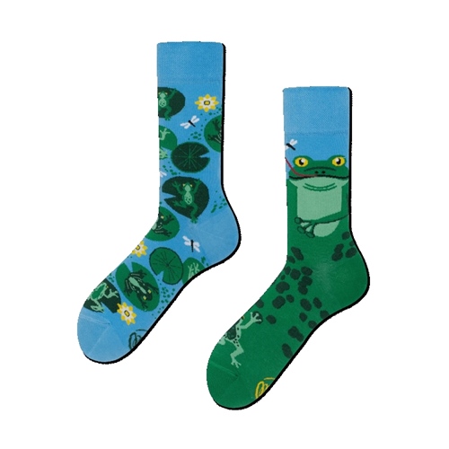 Many Mornings Socken Froggy Frog